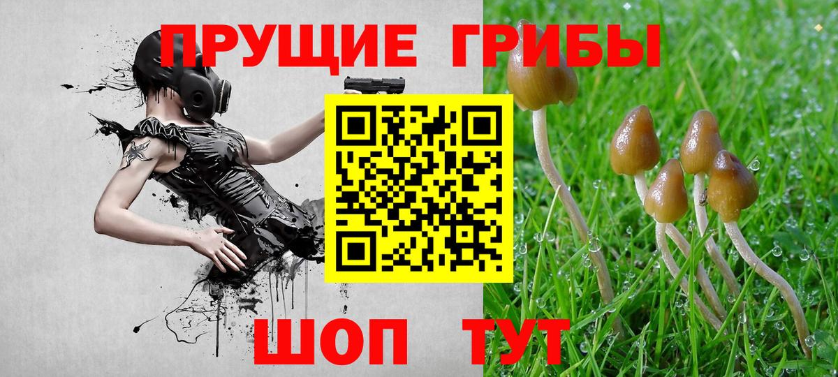 Галлюциногенные грибы ЛСД  Вход с VPN  Кумертау  продажа наркотиков  Псилоцибиновые грибы MAGIC MUSHROOMS 